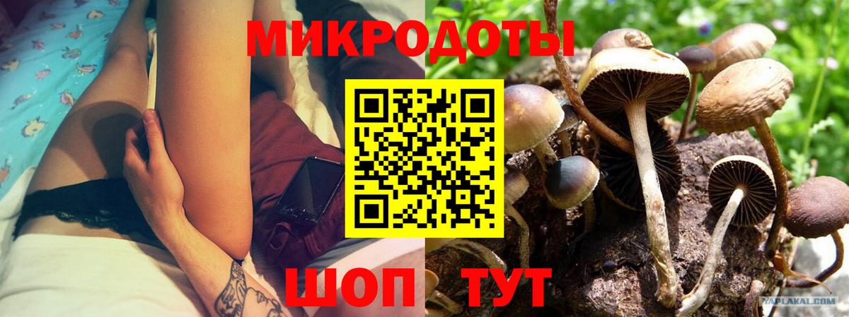 Красногорск  Псилоцибиновые грибы Magic Shrooms  Вход с VPN 